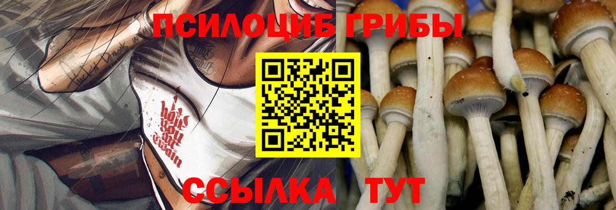 Псилоцибиновые грибы MAGIC MUSHROOMS  Вход с VPN  Выборг 