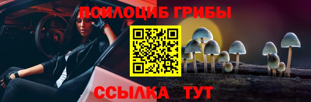 Галлюциногенные грибы Psilocybe Выборг