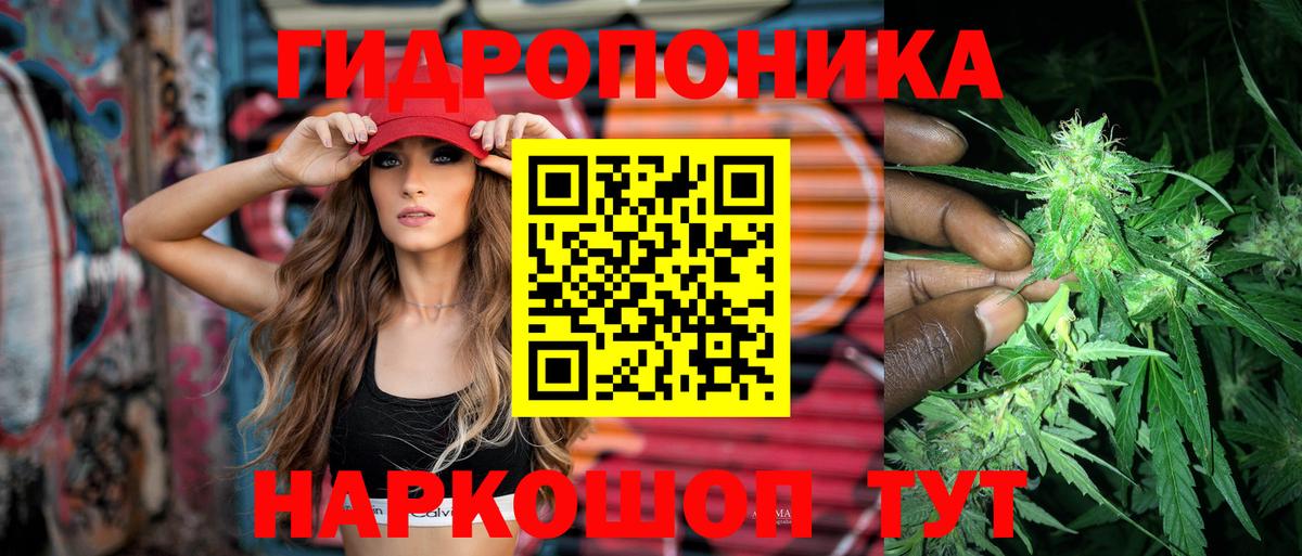 Бошки марихуана индика  Вход с VPN  Выборг  МАРИХУАНА планчик  Канабис Bruce Banner 